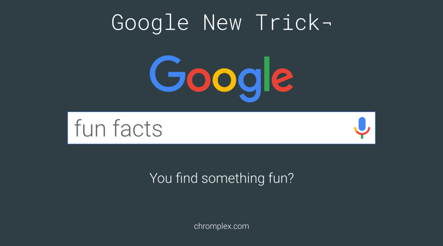 google fun facts