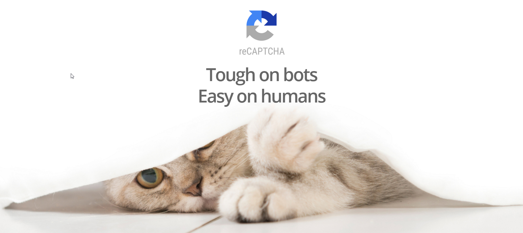 Google reCAPTCHA